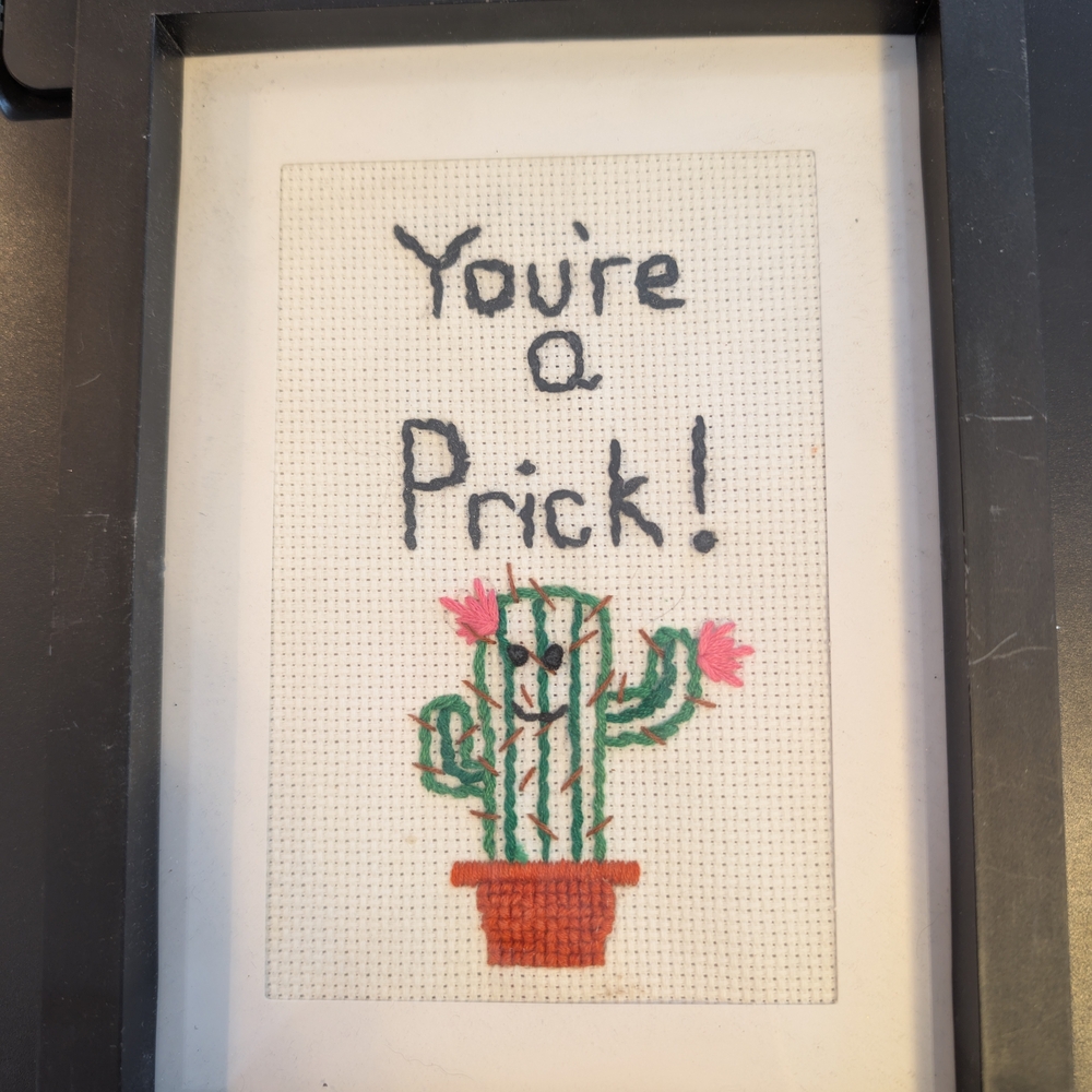 Humorous Cactus Cross-Stitch Art